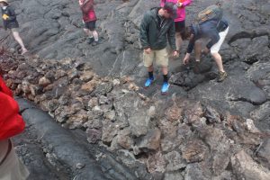 Students explore a cattle wall completely engulfed by a lava flow on the Saddle Road, between Mauna Loa and Mauna Kea volcanoes on the Big Island (Photo courtesy of Jed Long).