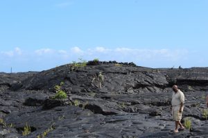 Students traverse a pahoehoe lava flow, created in 2009-2010 by a lava tube from Kilauea (Photo courtesy of Jed Long).