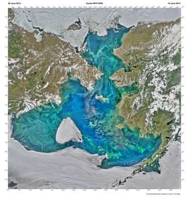 Satellite view of tje Bering and Chukchi seas, courtesy of NASA. Public domain image.