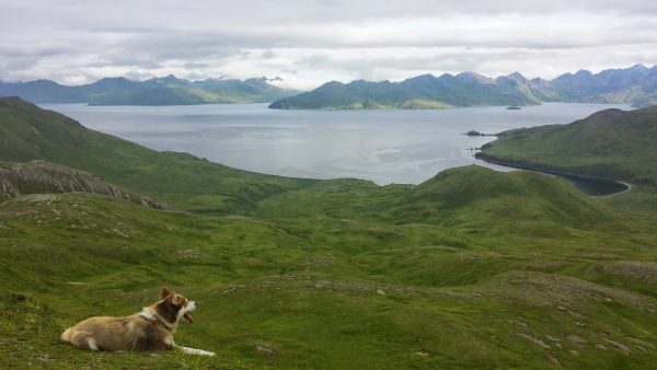 UAA anthropology student Jana V. Lekanoff is researching the evolution of Unangan, Russian and English place names in her home community of Unalaska Island. (Photo by Jana V. Lekanoff)