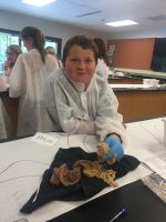 Remmington Mothershead, 11, took part in the recent mini med school summer camp at Mat-Su College. (Photo by Tracy Kalytiak / University of Alaska Anchorage)