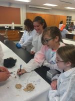 Kids label the output of their digestion system demonstration, after finishing their work at Mat-Su College's mini med school. (Photo by Tracy Kalytiak / University of Alaska Anchorage)