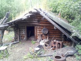 And here's one more shot from the work site, this time at an old Trapper's Cabin at the Tetlin National Wildlife Refuge visitor contact station, approximately 80 miles from Tok and 7 miles from the Canadian border (Photo courtesy of Chris Edwards)