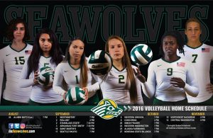 20160820-uaa-volleyball-poster