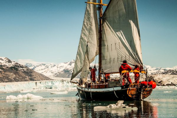 Jannelle Trowbridge and her family sailed the Northwest Passage on this 27-foot sailboat, "Precipice", back in 2009. They stopped in Nome to repair an engine problem-and ended up setting down roots. (Photo provided by Jannelle Trowbridge)