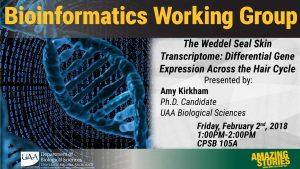Amy Kirkham to present at Feb. 2 Bioinformatics Working Group