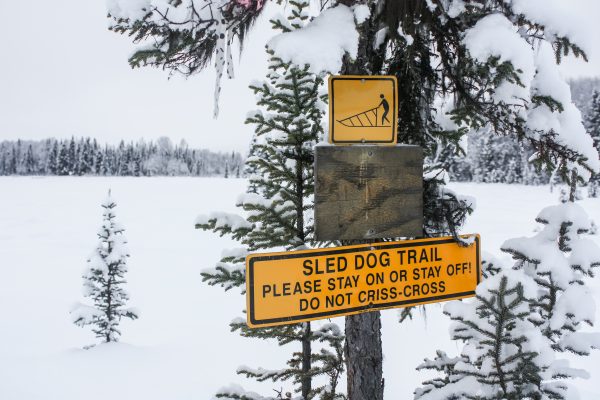 Willow's Haessler-Norris Trail System. (Photo by J. Besl / University of Alaska Anchorage)