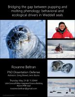 "Bridging the gap between pupping and molting phenology: Behavioral and ecological drivers in Weddell seals." Ph.D. dissertation defense by Roxanne Beltran on Thursday, May 24, at 11:30 a.m. in ConocoPhillips Integrated Science Building, Room 105A. Advisors are Greg Breed and Jenn Burns.