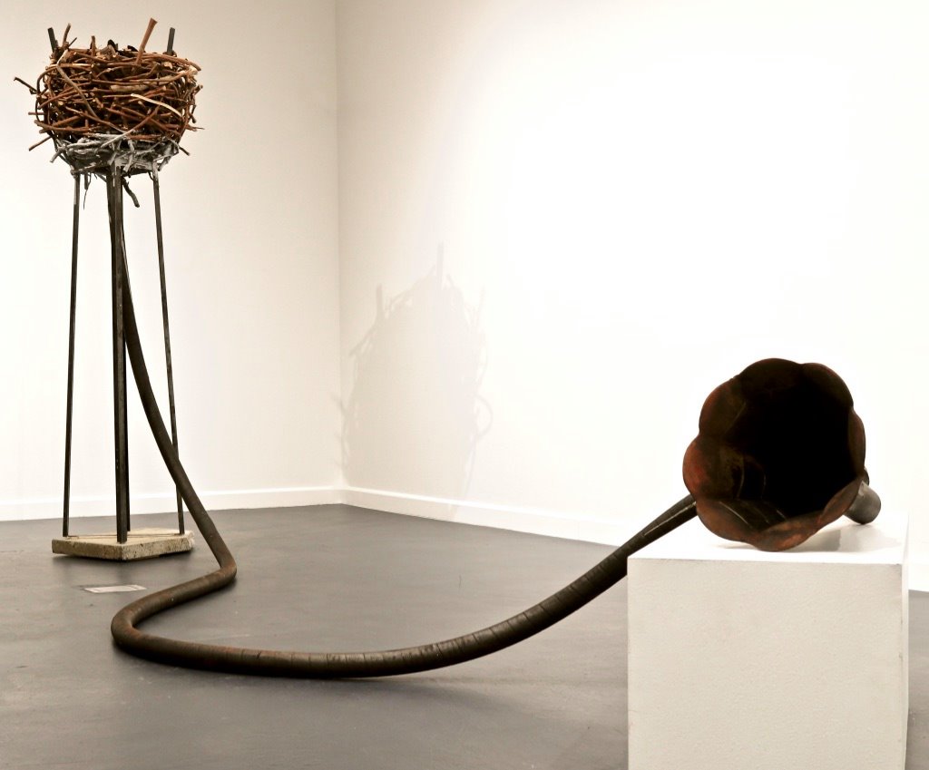 "And then there was light" by David Joel