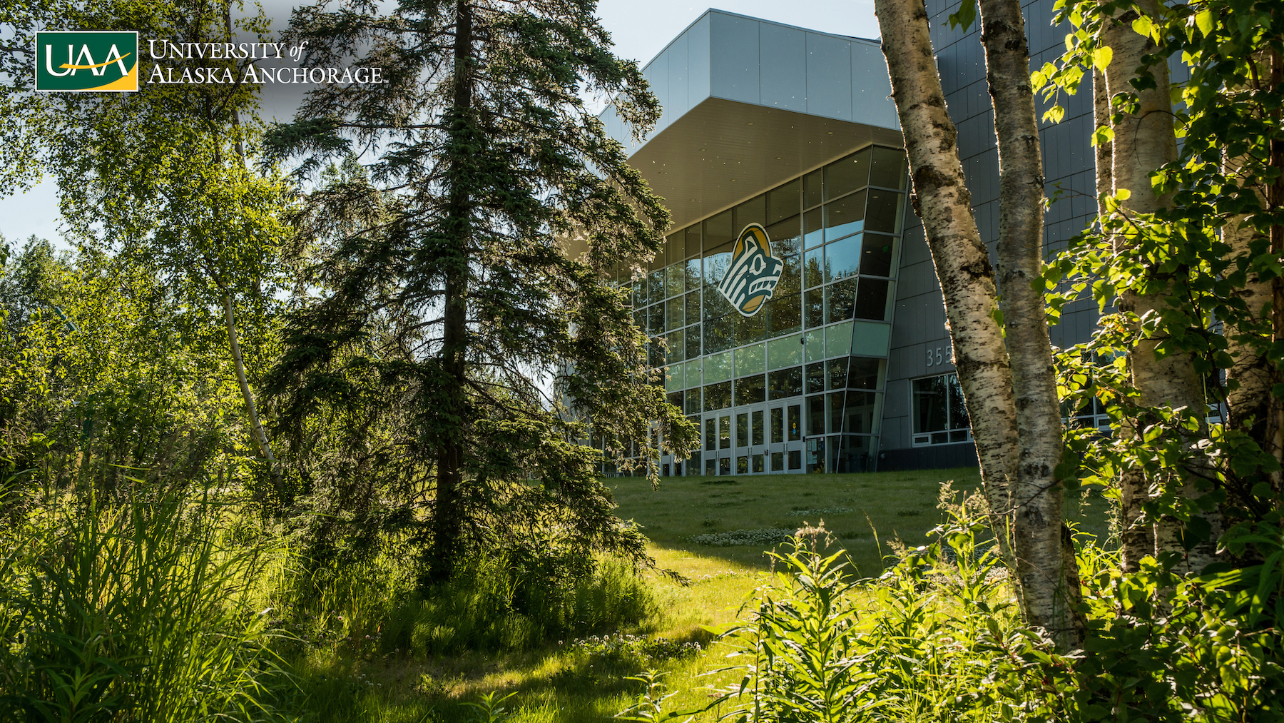 Zoom background: UAA's Alaska Airlines Center on a sunny summer day