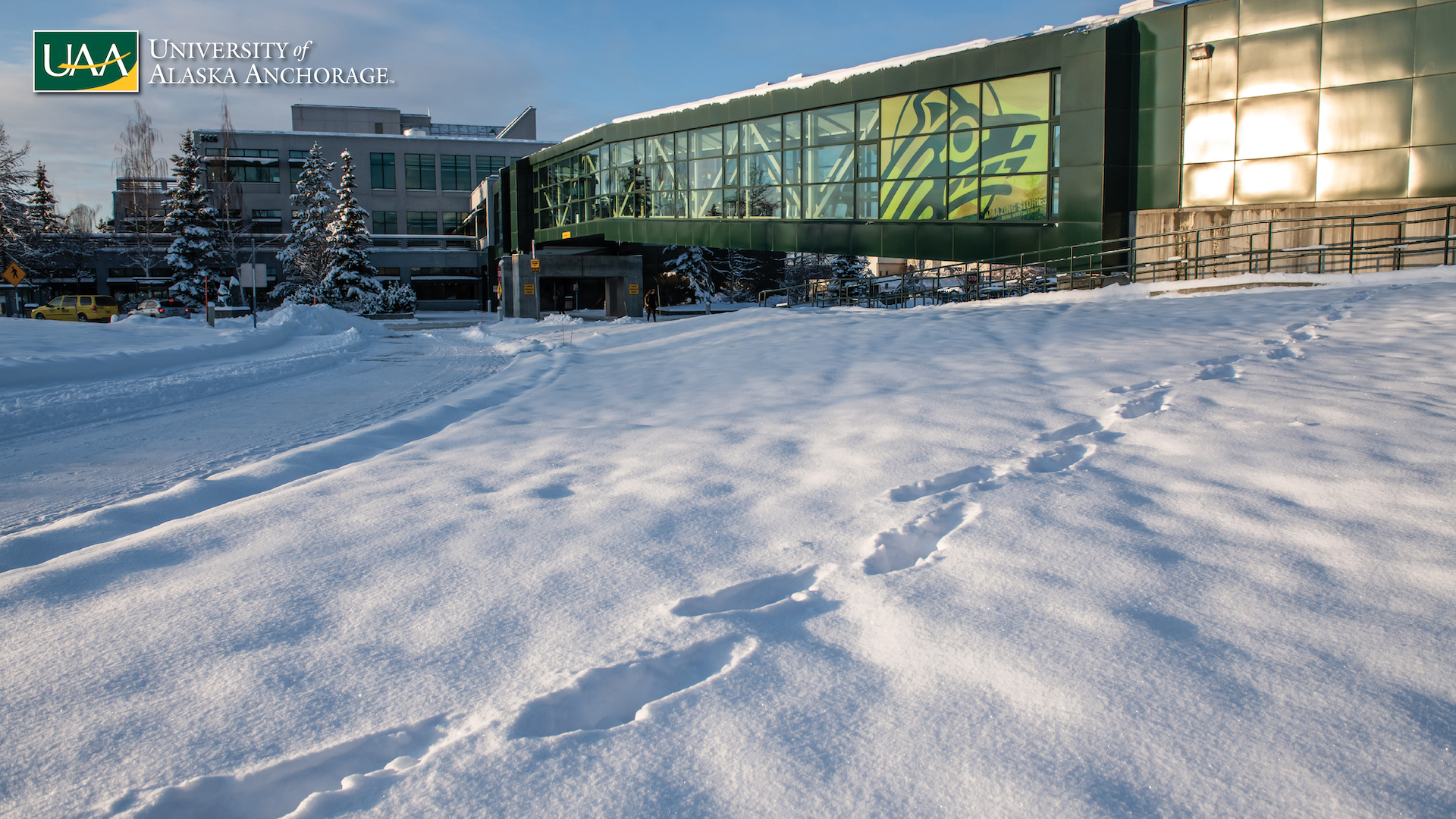 Zoom background: Footprints in the snow leading to UAA's Seawolf Sports Complex and the Spine
