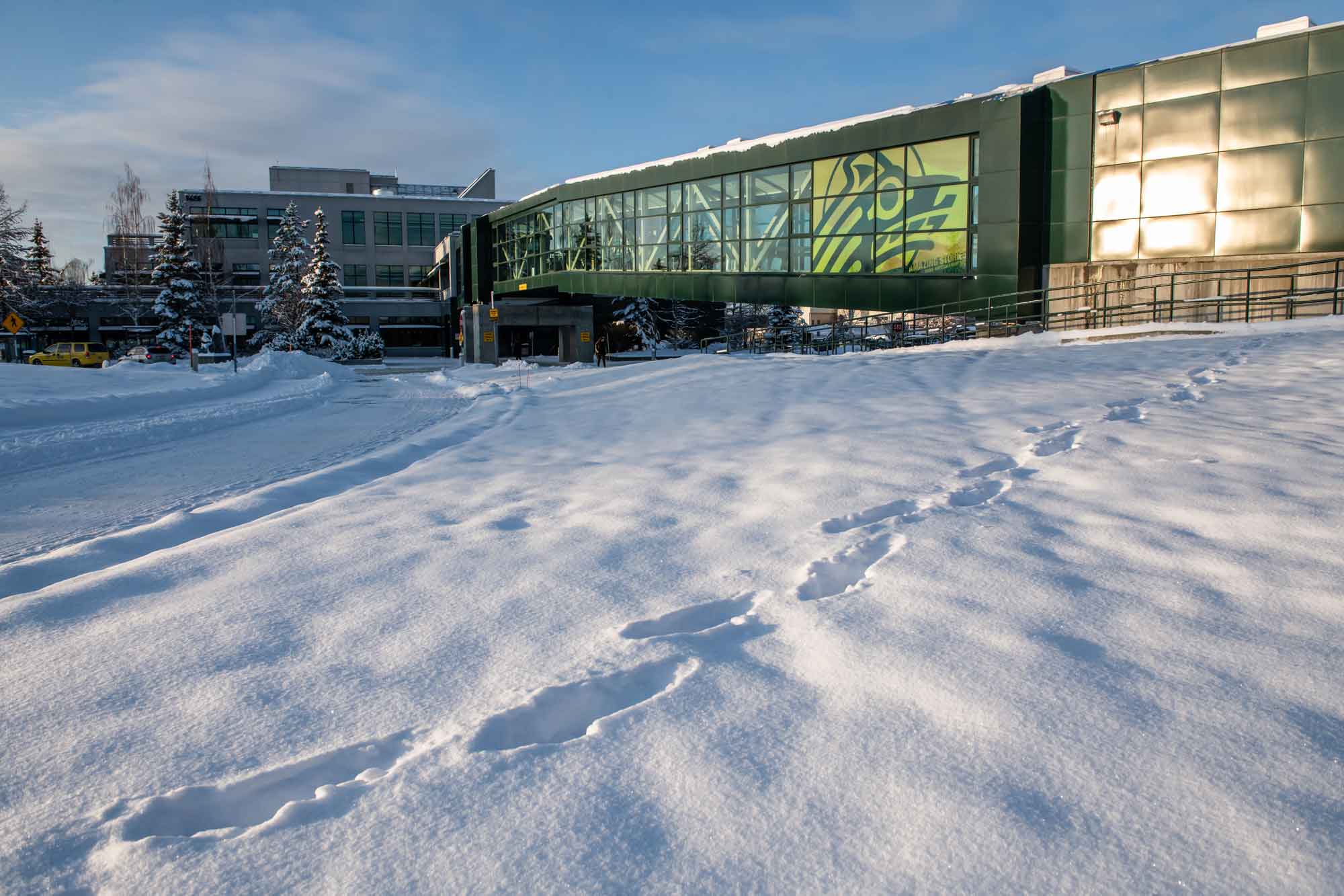 A UAA student made their own path through the snow outside Rasmuson Hall. 