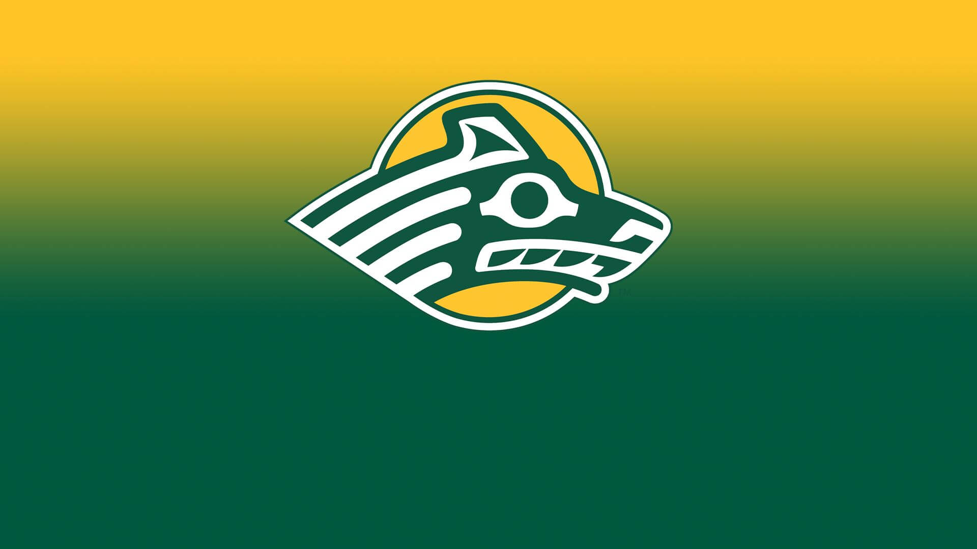 Seawolf logo against gold-green gradient background