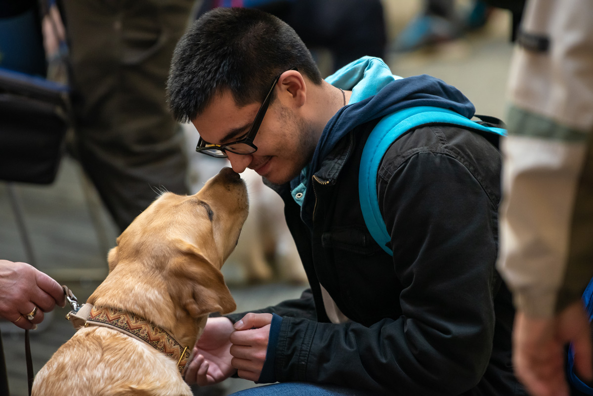 UAA student is greeted by a therapy dog.