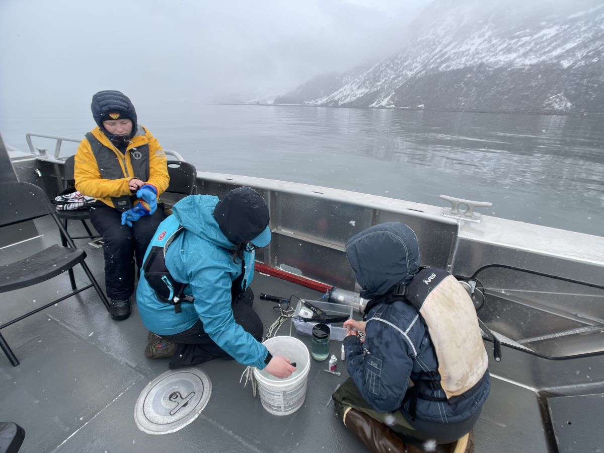 Prince William Sound College students Hannah Bogden, Sarah Kearns and Celeste Vena testing water parameters on a skiff in Valdez Harbor