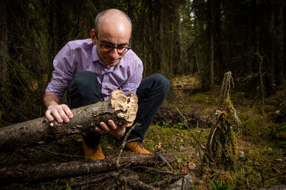 Philippe Amstislavski examines fungi on a log in the woods near campus.