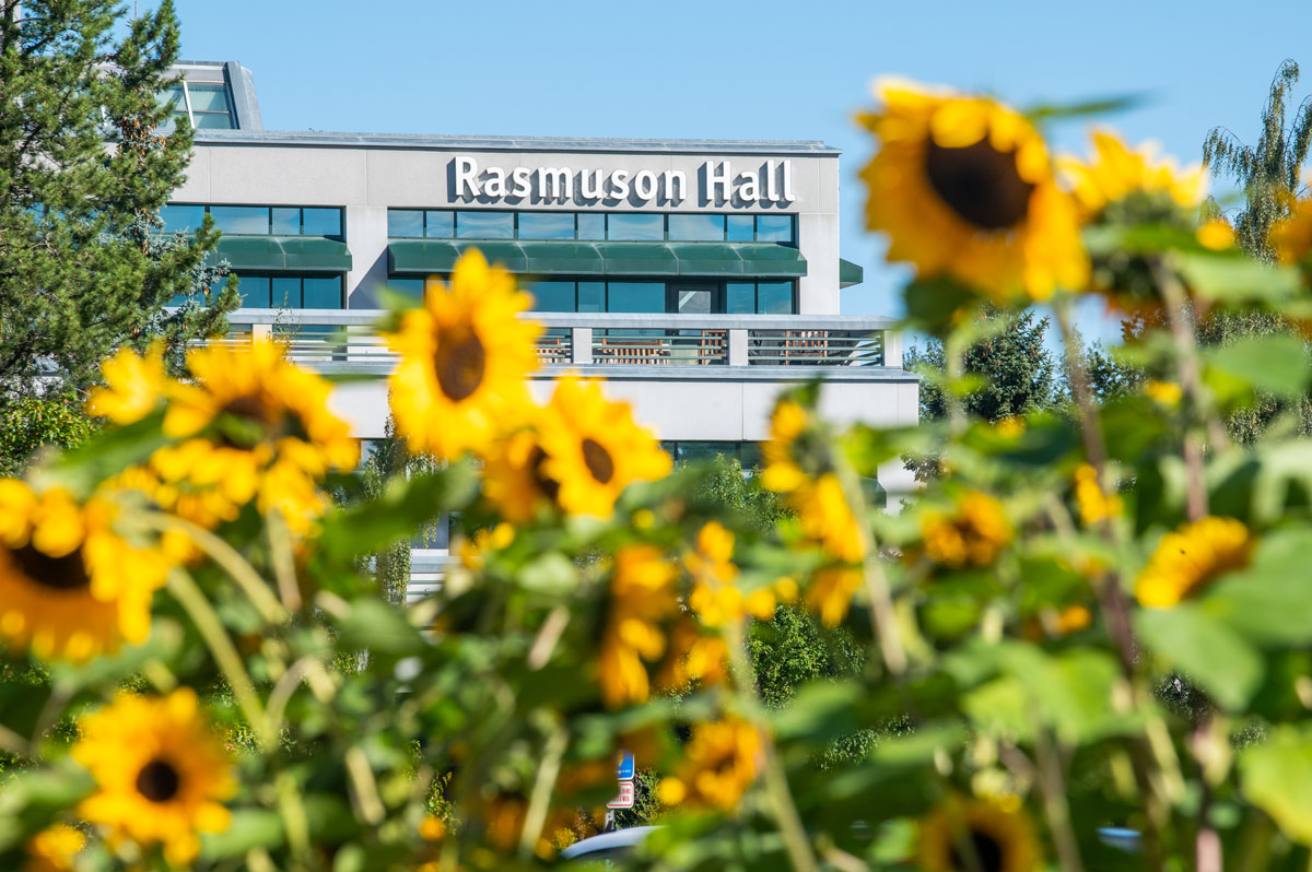 UAA's Rasmuson Hall framed by sunflowers
