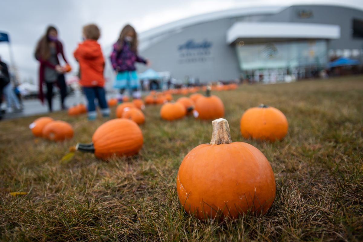 Pumpkin Patch children looking at pumpkins on UAA's Anchorage campus