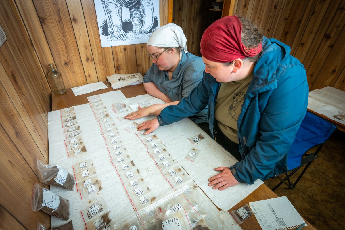 Two arcahaeology students examine bagged artifacts