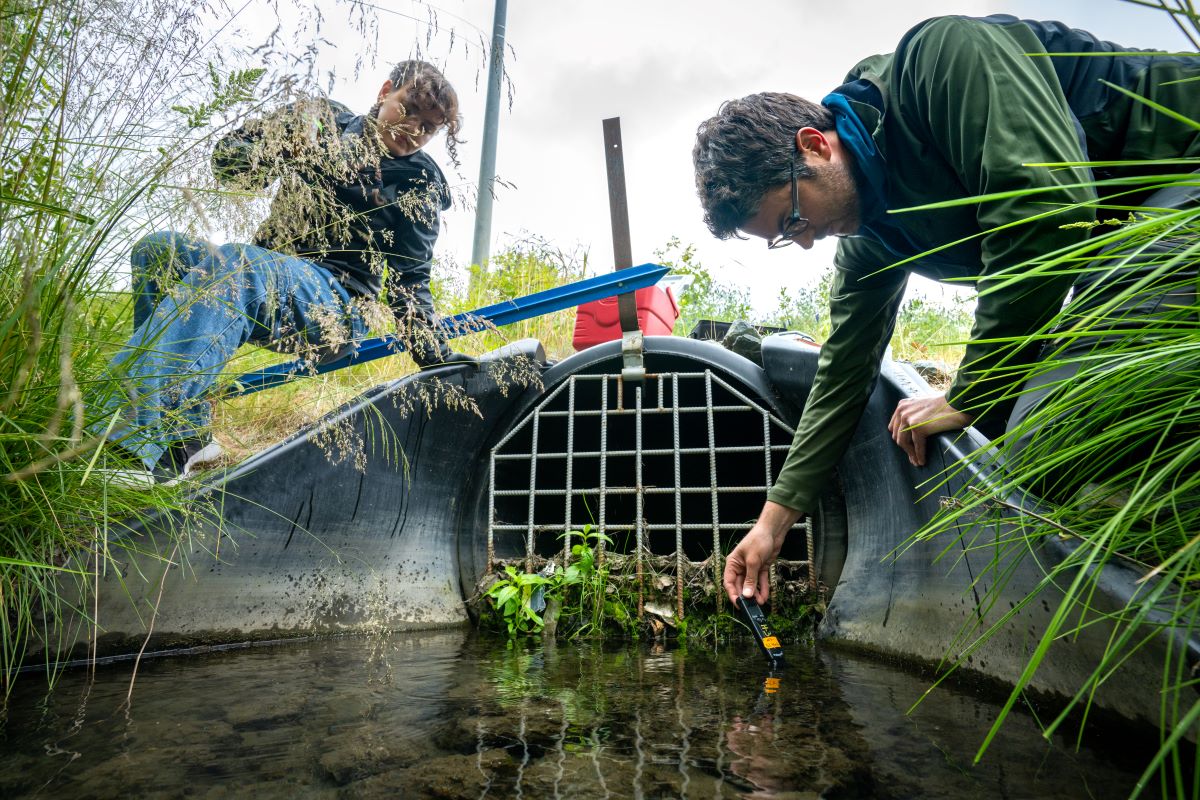 Two scientists taking water samples along a creek