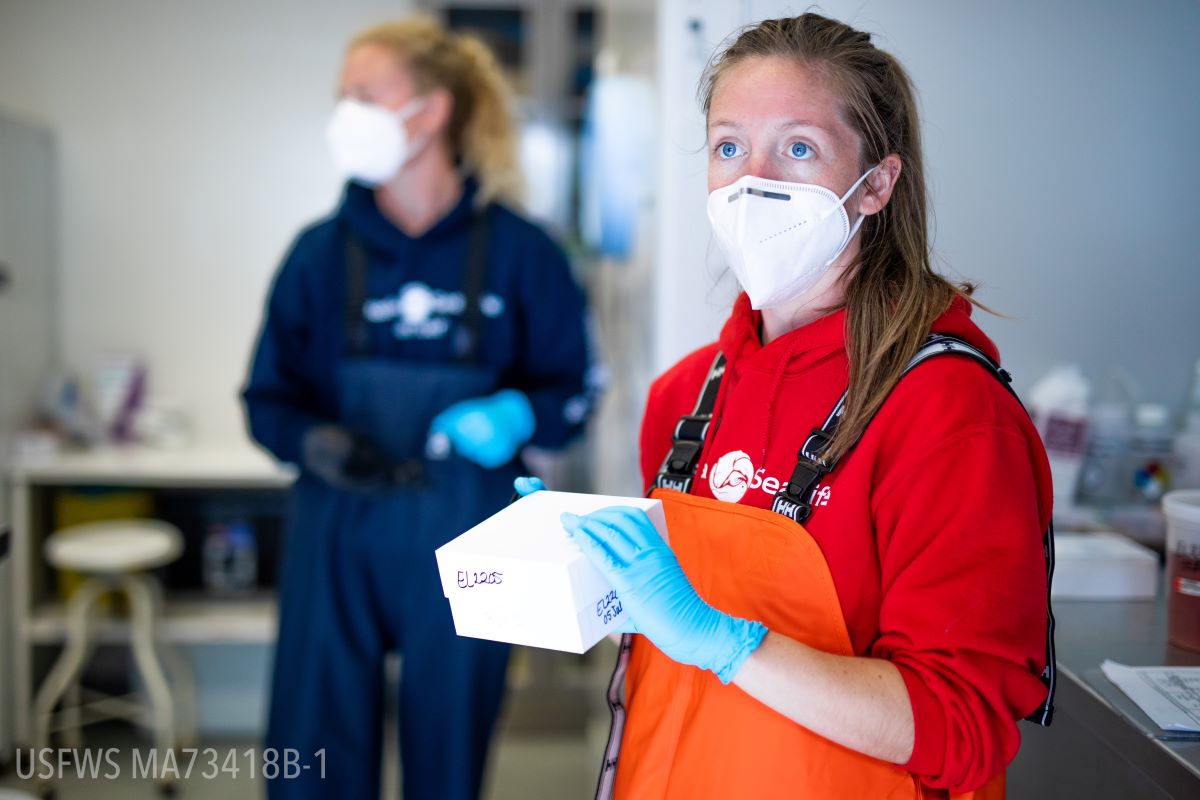 Natalie Hunter with a box for tissue samples