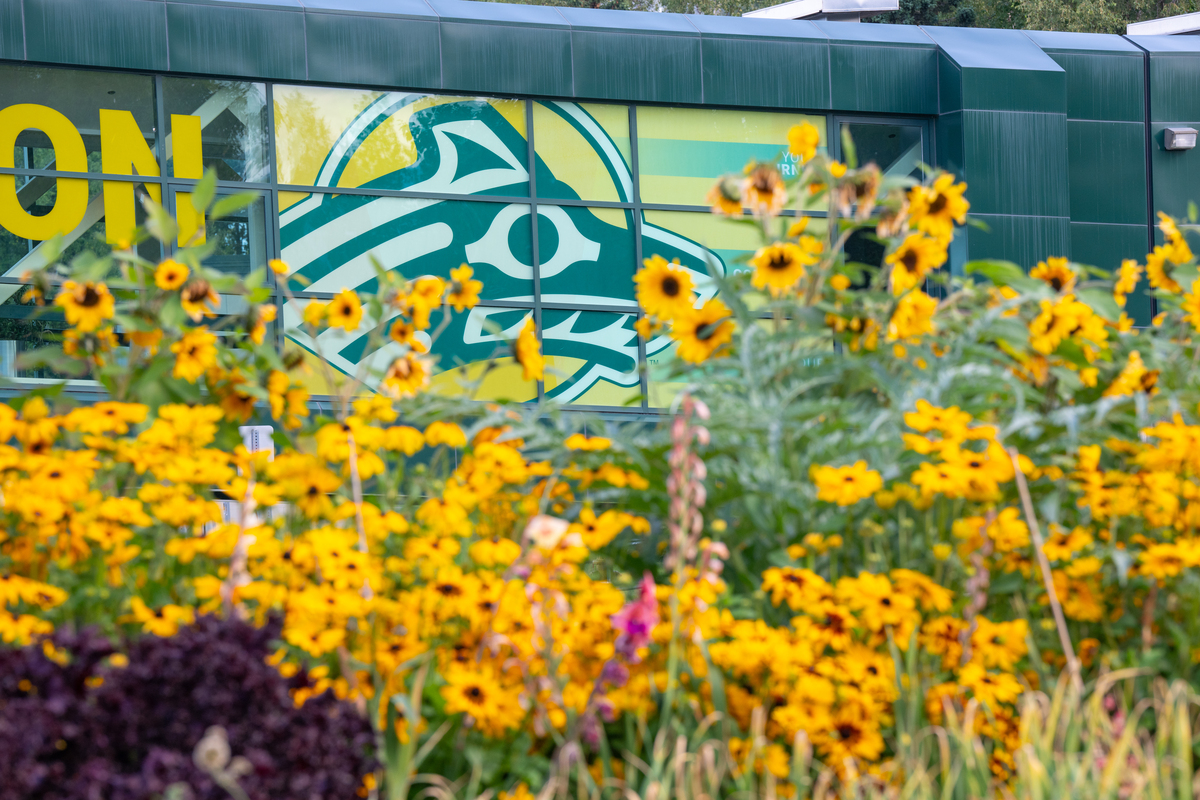 Seawolf logo surrounded by flowers in the UAA 50th Anniversary Garden.