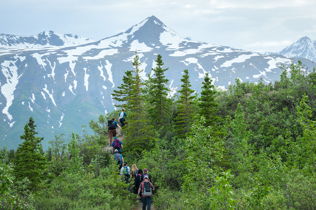 Student researchers from UAA Biological Sciences Professor Brandon Briggs' lab on the trail back from Castner Glacier as they sample microbes from glaciers and other extreme environments along the Alaska road system.