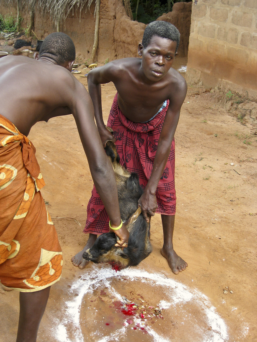 Man looking up from goat sacrifice