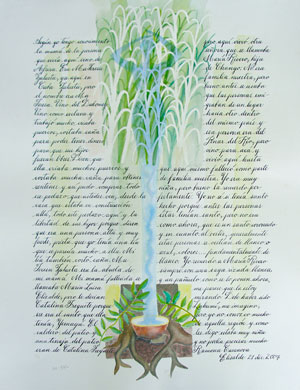 Catalina Frequete Catalina Frequete