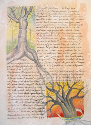 Ceiba and Boaobab Trees